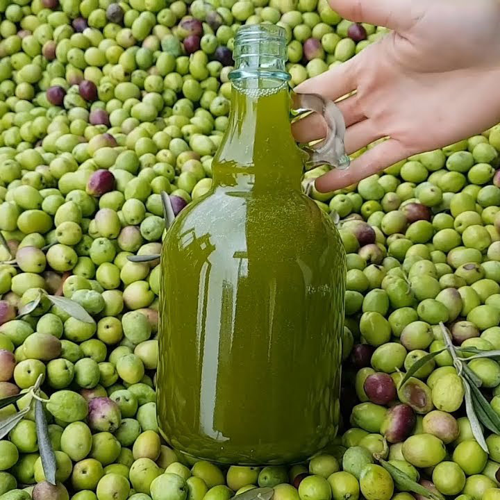 Zeytin Yağı